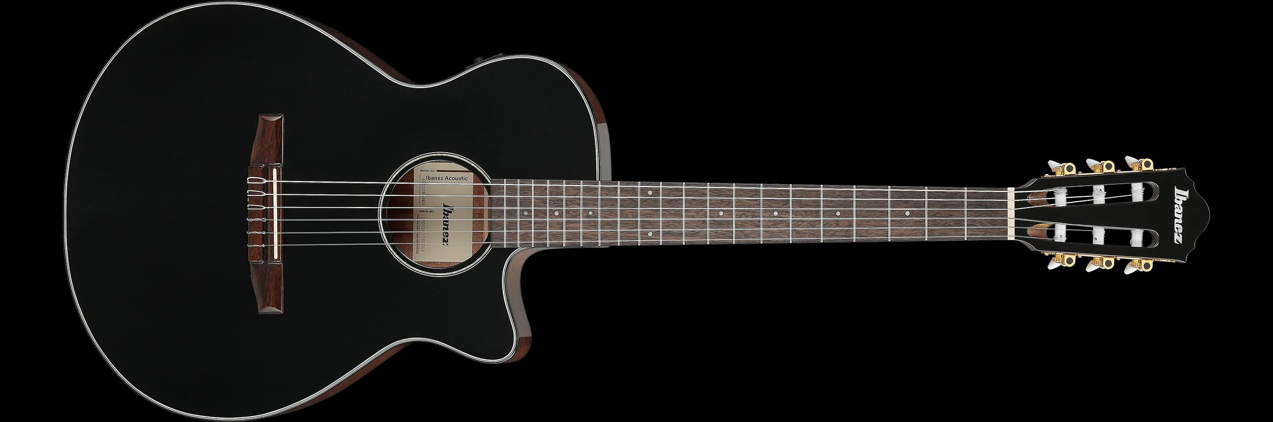 Ibanez AEG50N