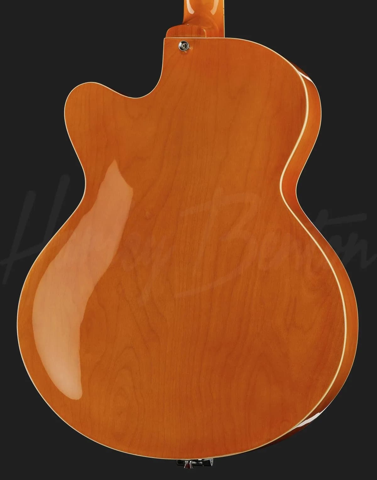 Harley Benton Big Tone Trem VO — photo 5