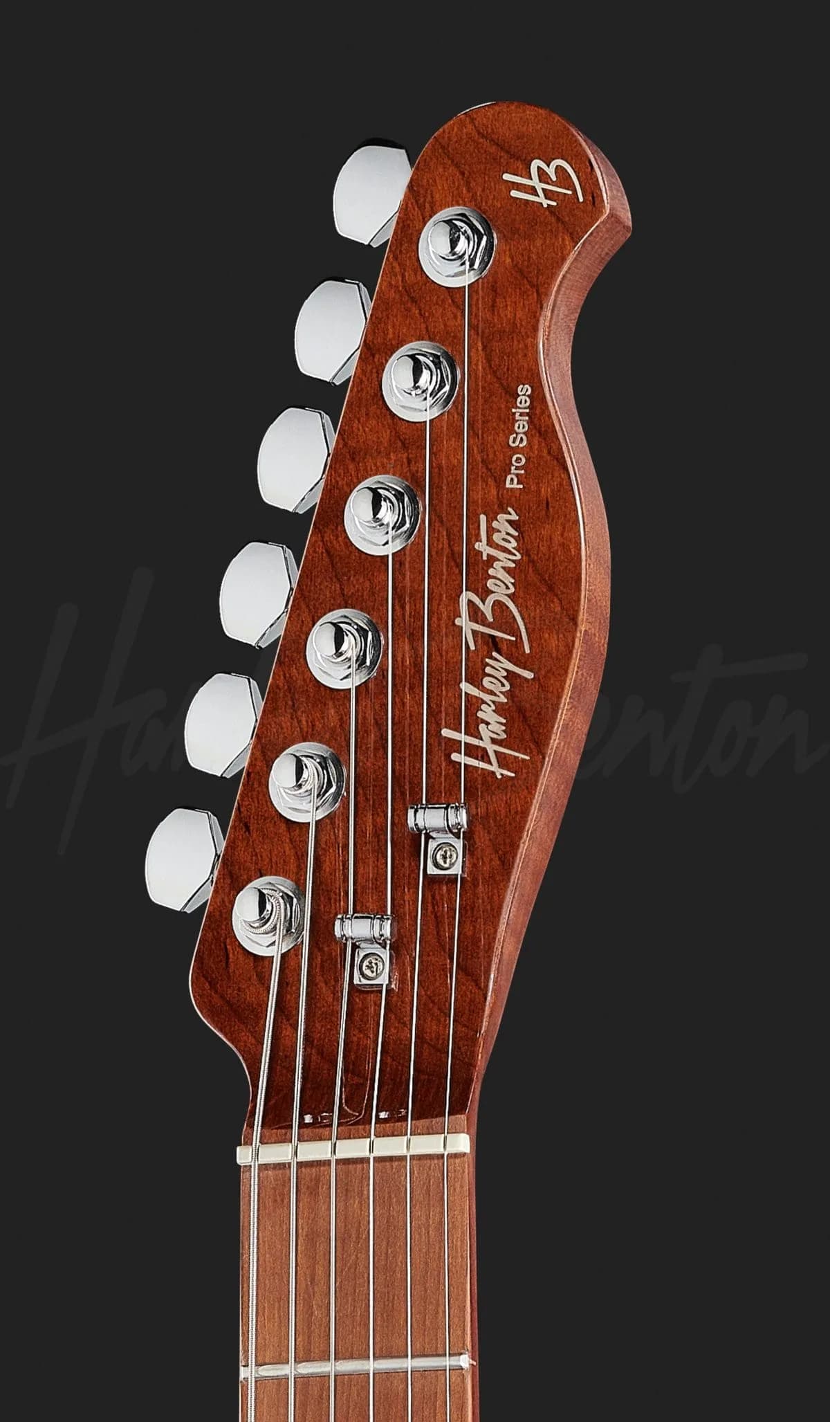 Harley Benton Fusion-T HH Roasted FNT — photo 6