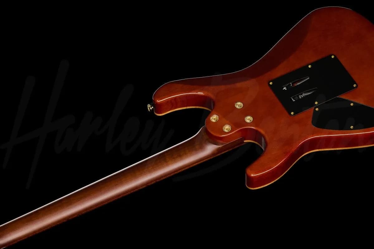 Harley Benton Guitar MAX Fusion Signature PF — photo 8