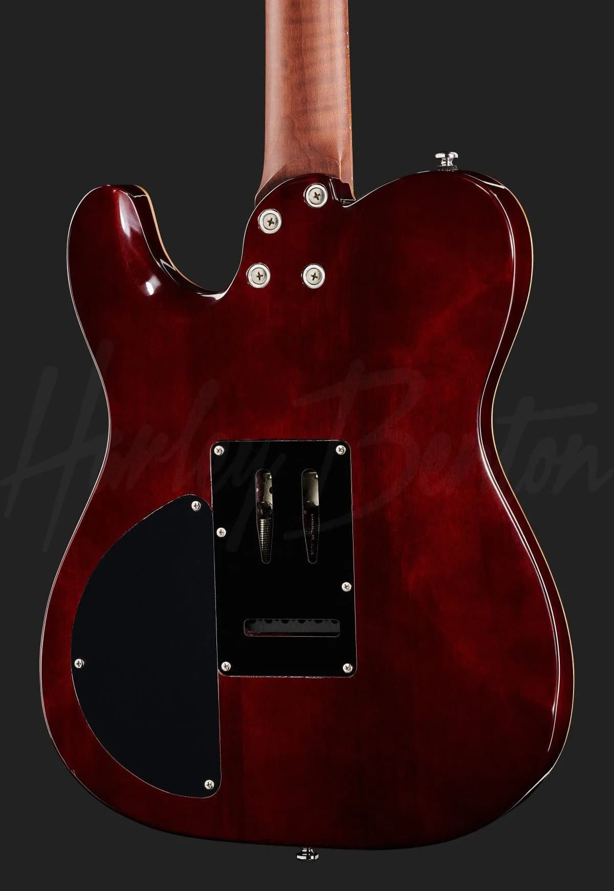 Harley Benton Fusion-T HH Roasted FNT — photo 5