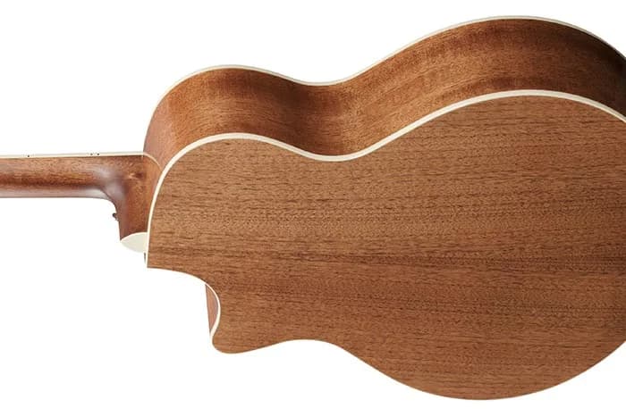 Ibanez AE245 — photo 3