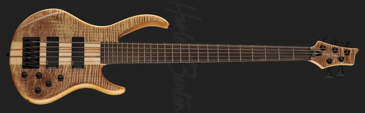 Harley Benton BZ-5000 II NT — photo 2