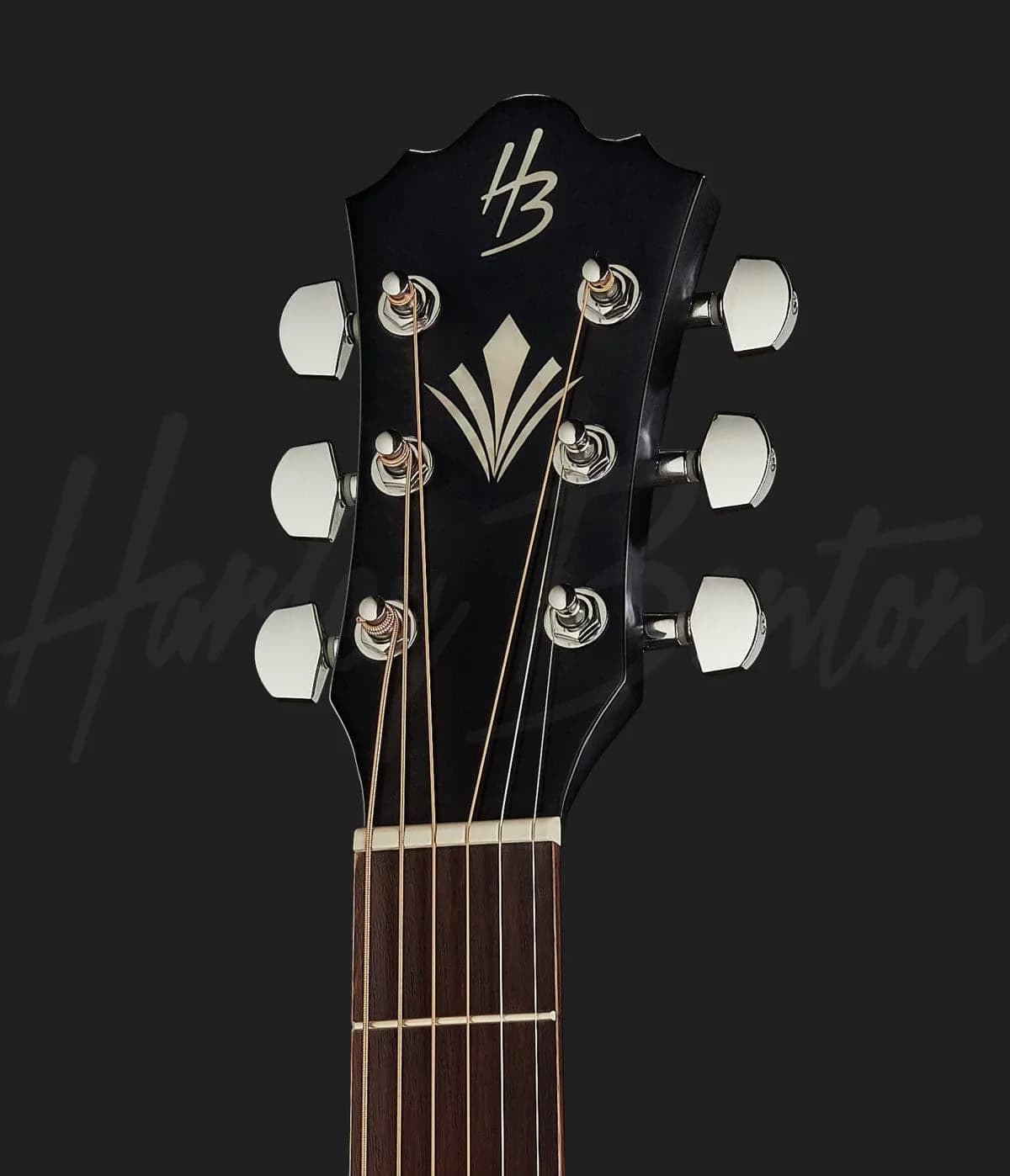 Harley Benton CLD-10SCE BK — photo 6