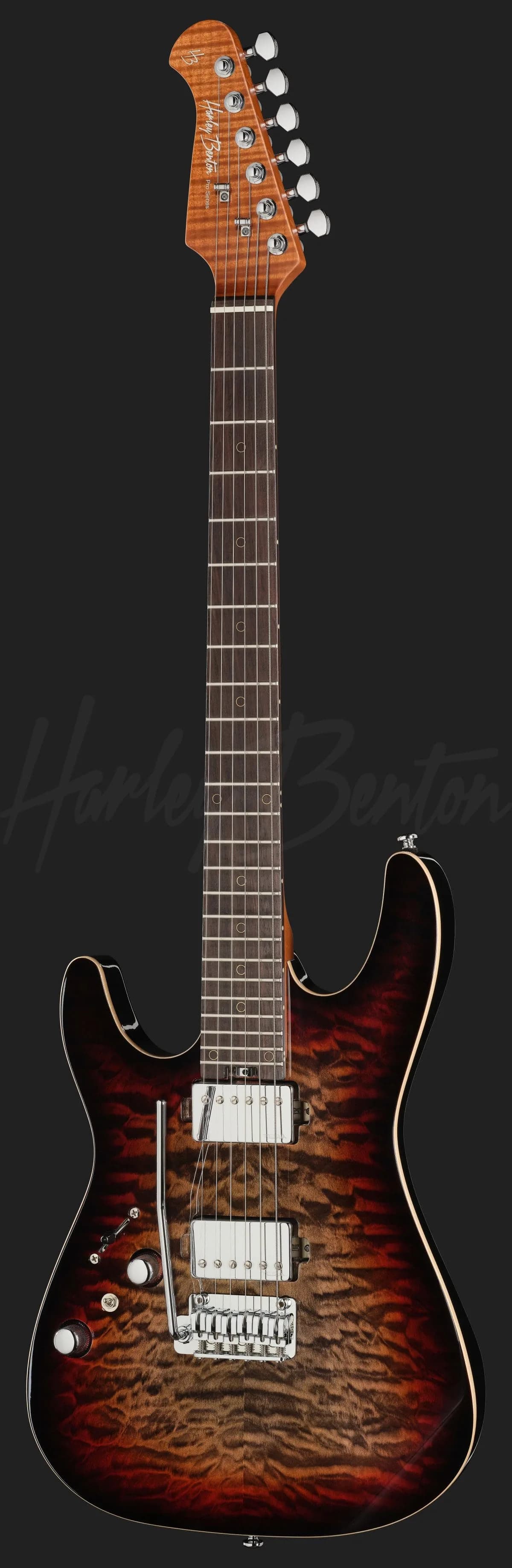 Harley Benton Fusion-IV HH LH RW QDG — photo 2