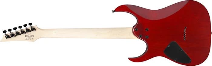 Ibanez RG421PB — photo 5