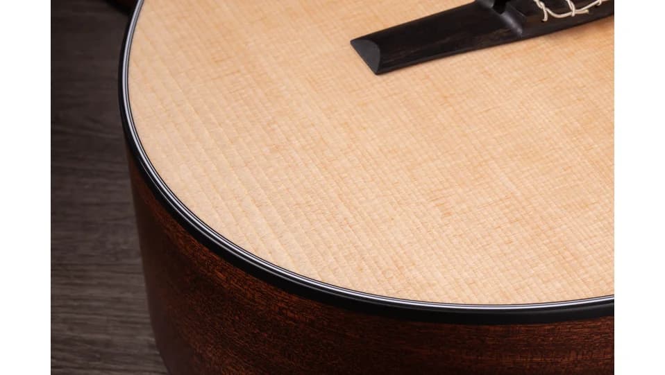 Taylor 312ce-N — photo 4