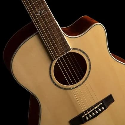 Cort Grand Regal GA-FF — photo 3