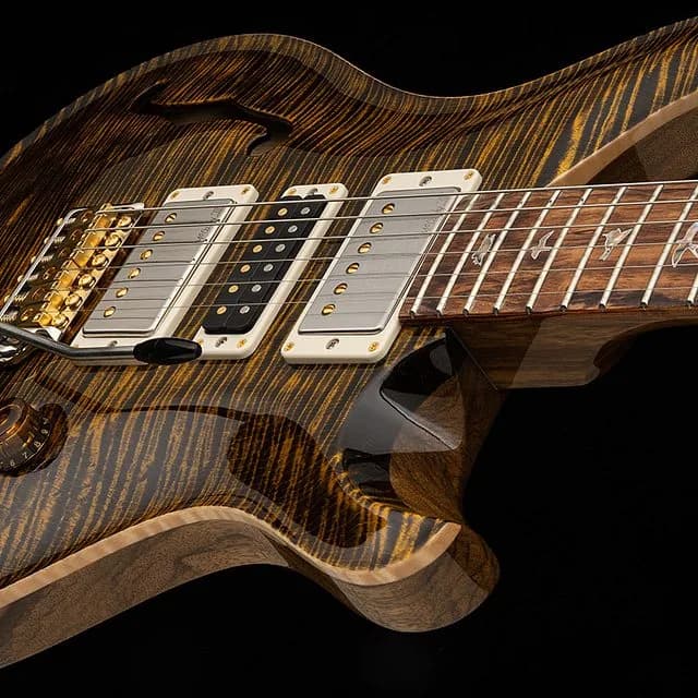 PRS 40th Anniversary Special Semi-Hollow Limited Edition — photo 3