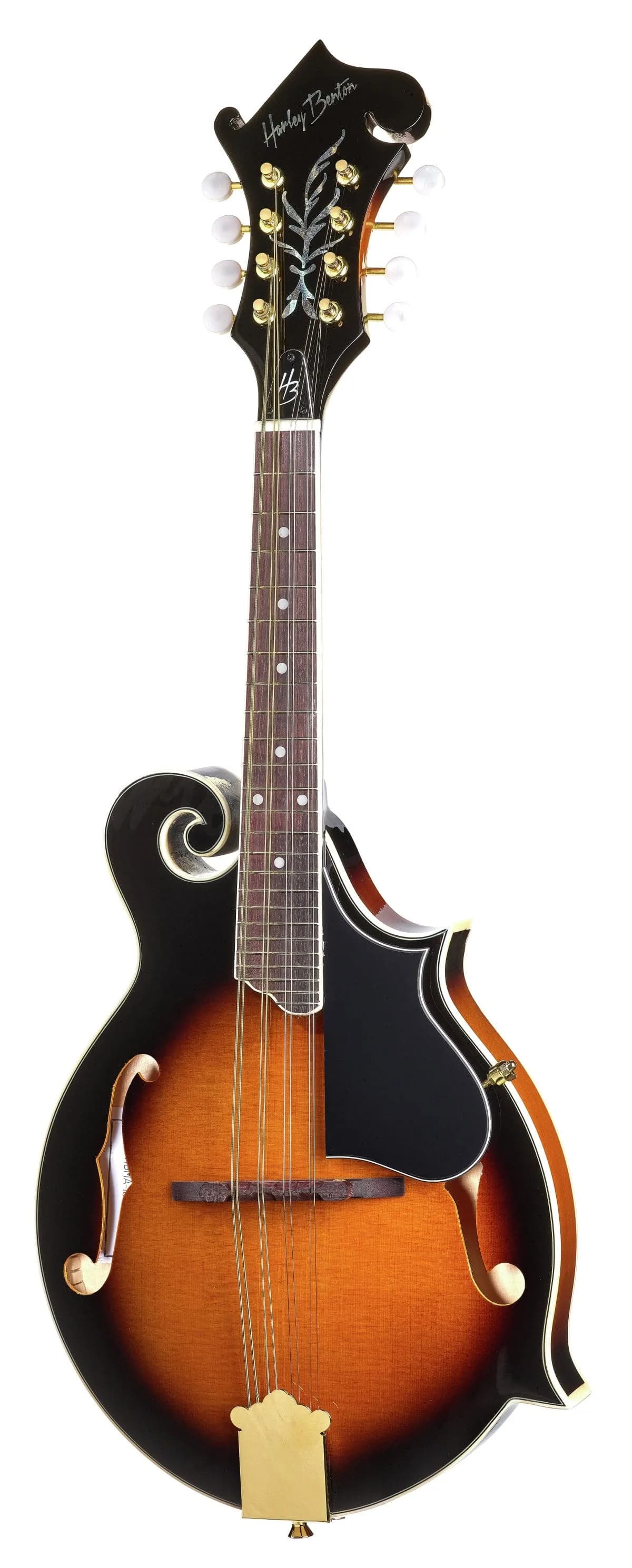 Harley Benton MA-100 VS — photo 2