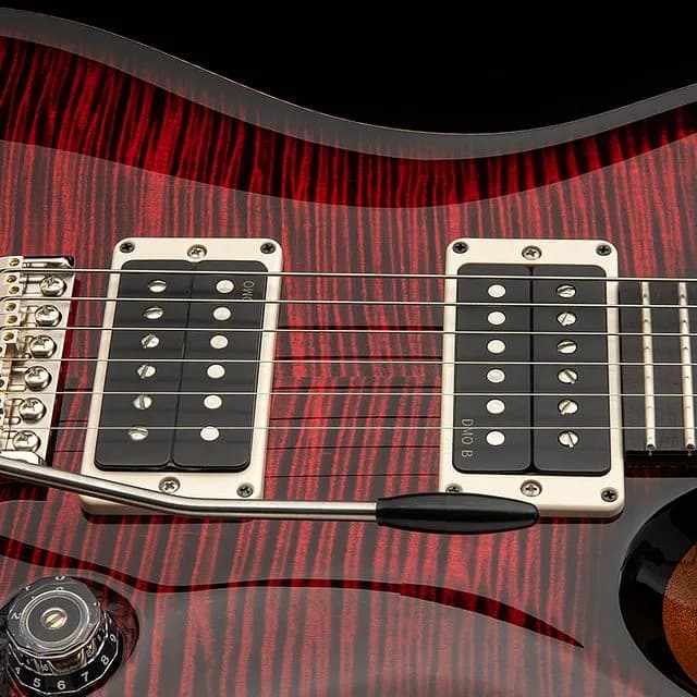 PRS Custom 24 "Birds of a Feather" Limited Edition — photo 4