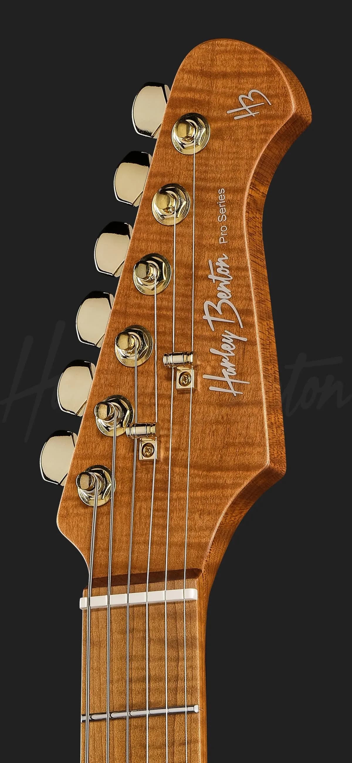 Harley Benton Fusion-IV HH MN SGD — photo 6