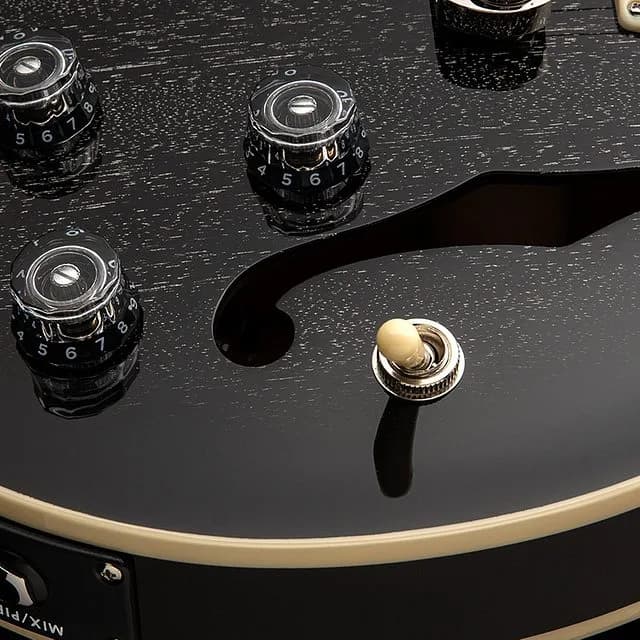 PRS SE Hollowbody Standard Piezo — photo 5