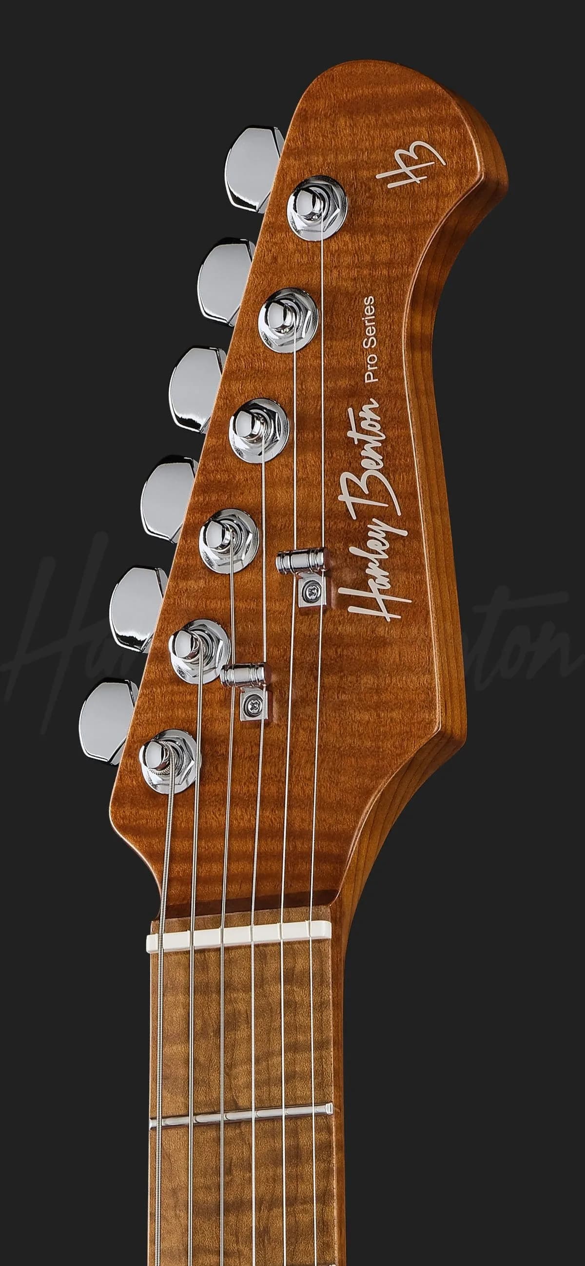 Harley Benton Fusion-IV HH MN FNT — photo 6