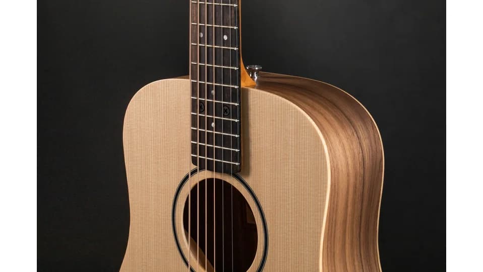 Taylor BT1e — photo 6