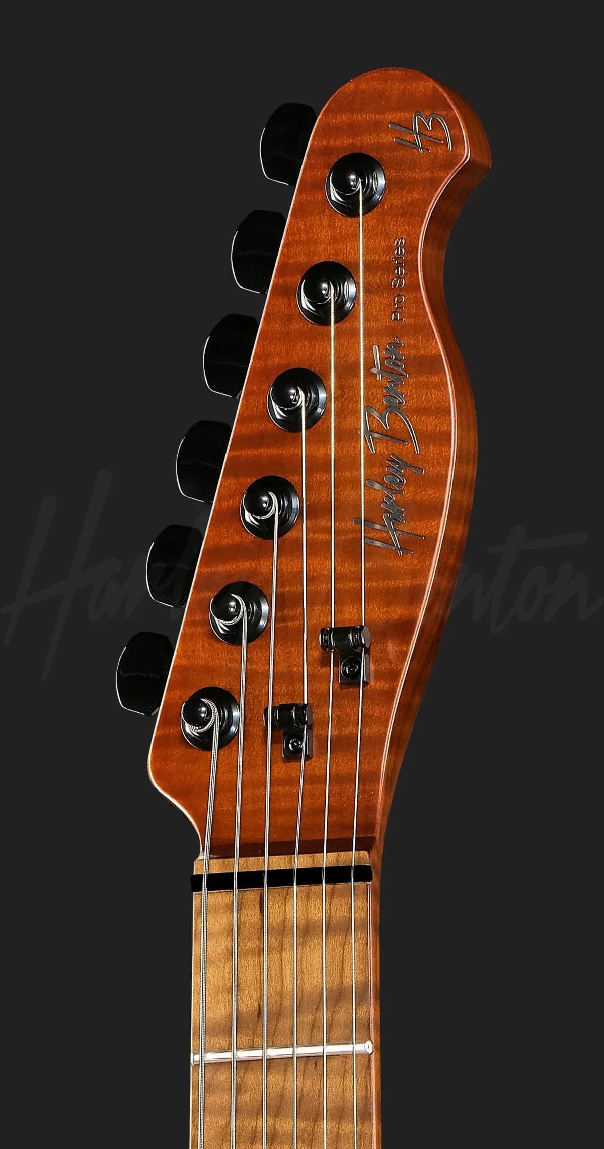 Harley Benton Fusion-T II HH MN WM — photo 6