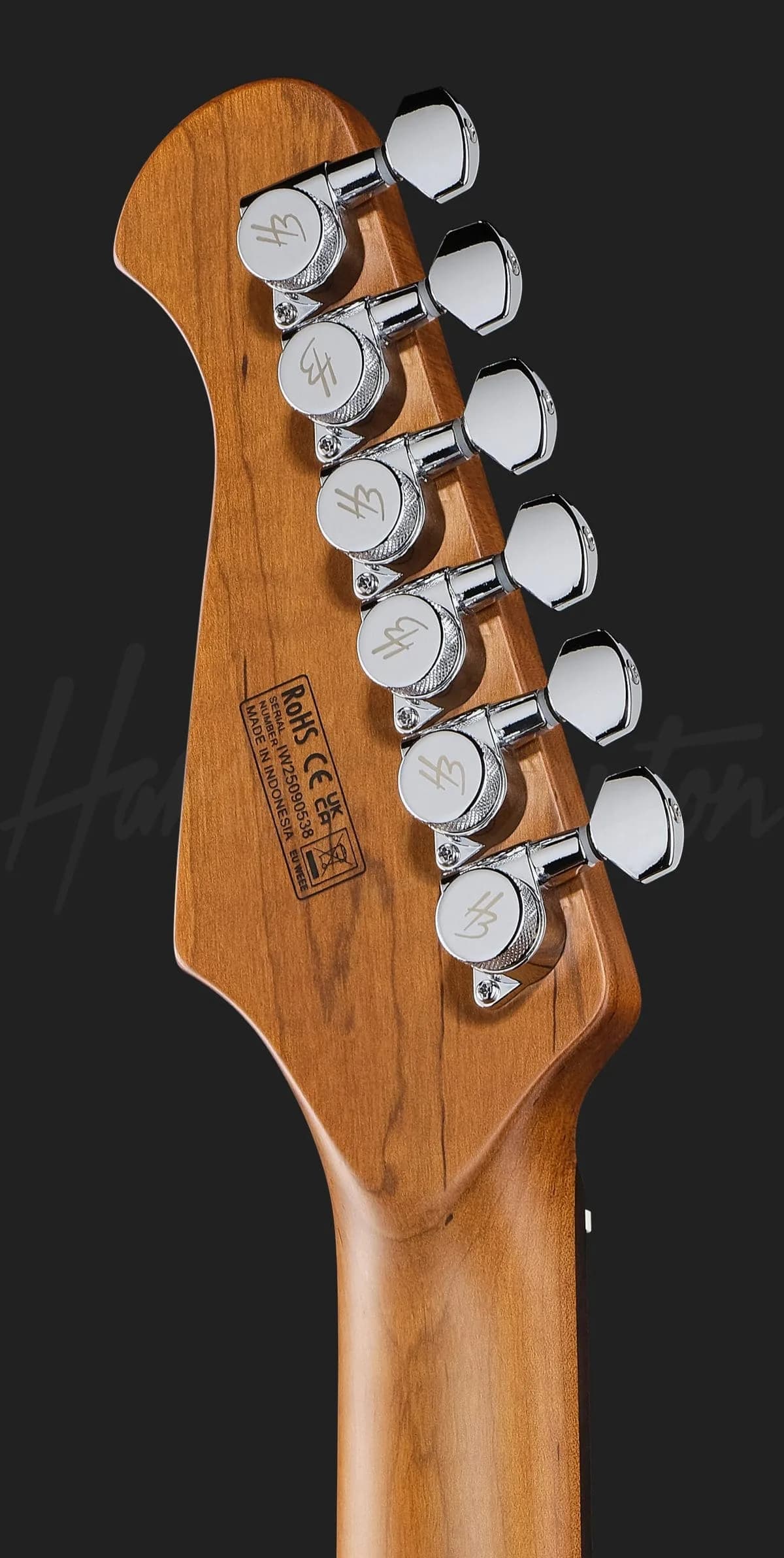 Harley Benton Fusion-IV HSS RW RM — photo 7