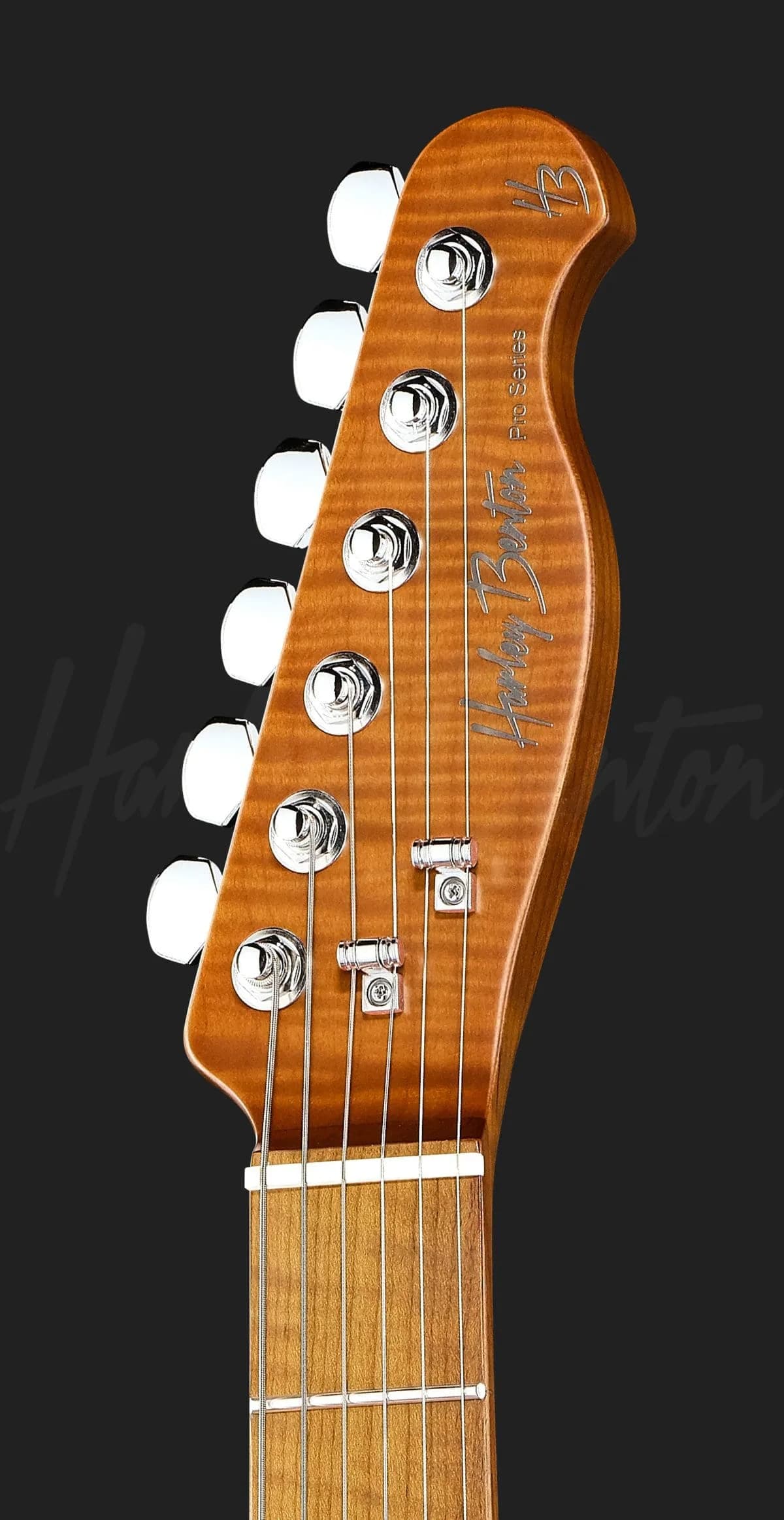 Harley Benton Fusion-T II HH MN OTC — photo 6