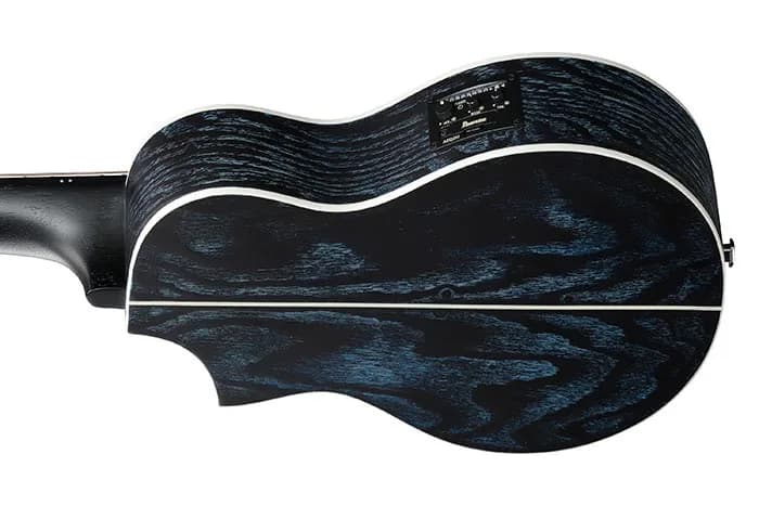 Ibanez EWP16EWB — photo 3