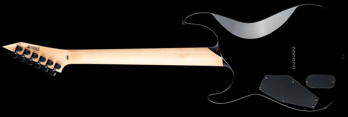 ESP M-1000HT Black Natural Fade — photo 2
