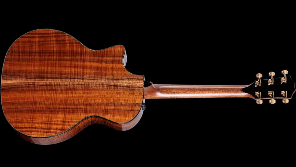 Taylor 50th Anniversary PS24ce LTD &amp; Circa 74 Amp — photo 2