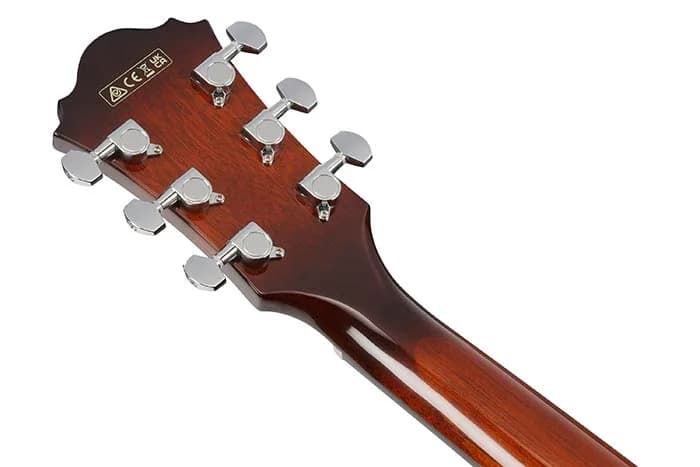 Ibanez AE160 — photo 2