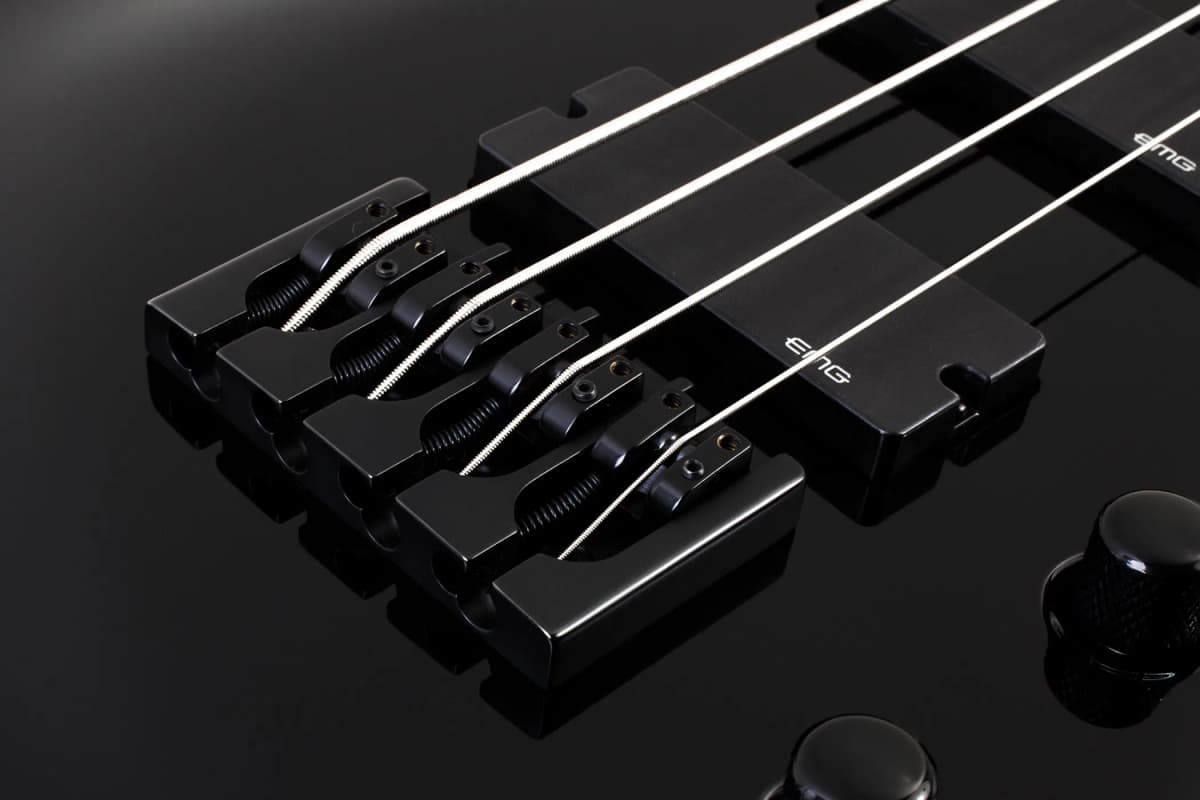 Schecter Dale Stewart Bass — photo 6