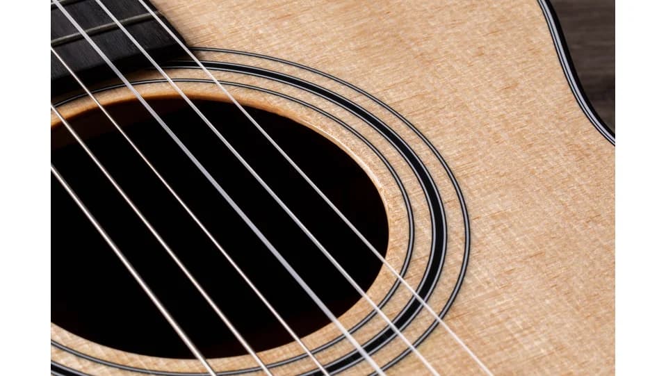 Taylor 312ce-N — photo 6