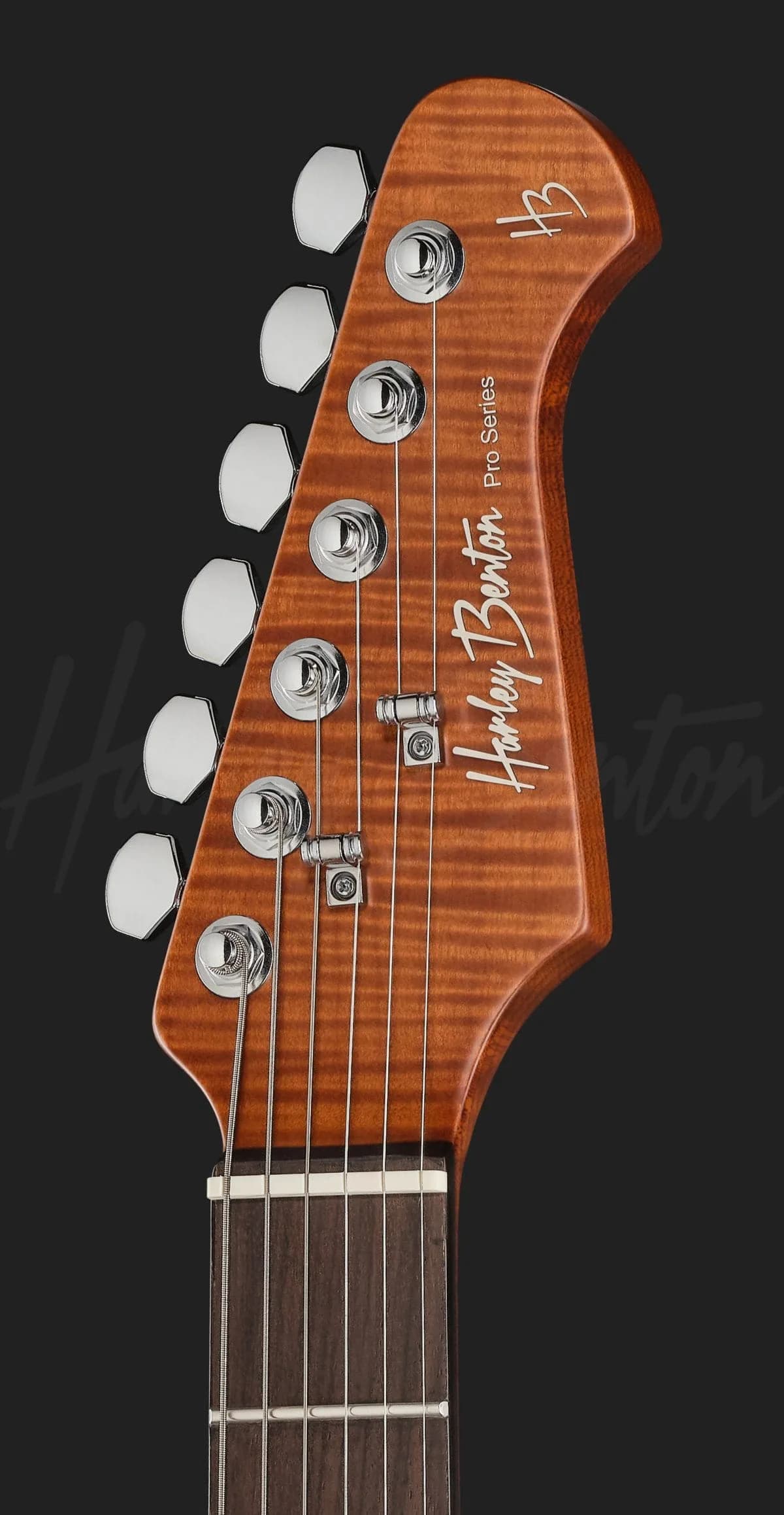 Harley Benton Fusion-IV HH RW QDG — photo 6