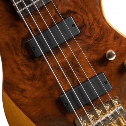 Cort Jeff Berlin Rithimic V — photo 3