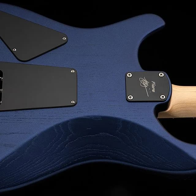 PRS Fiore HH Satin — photo 6