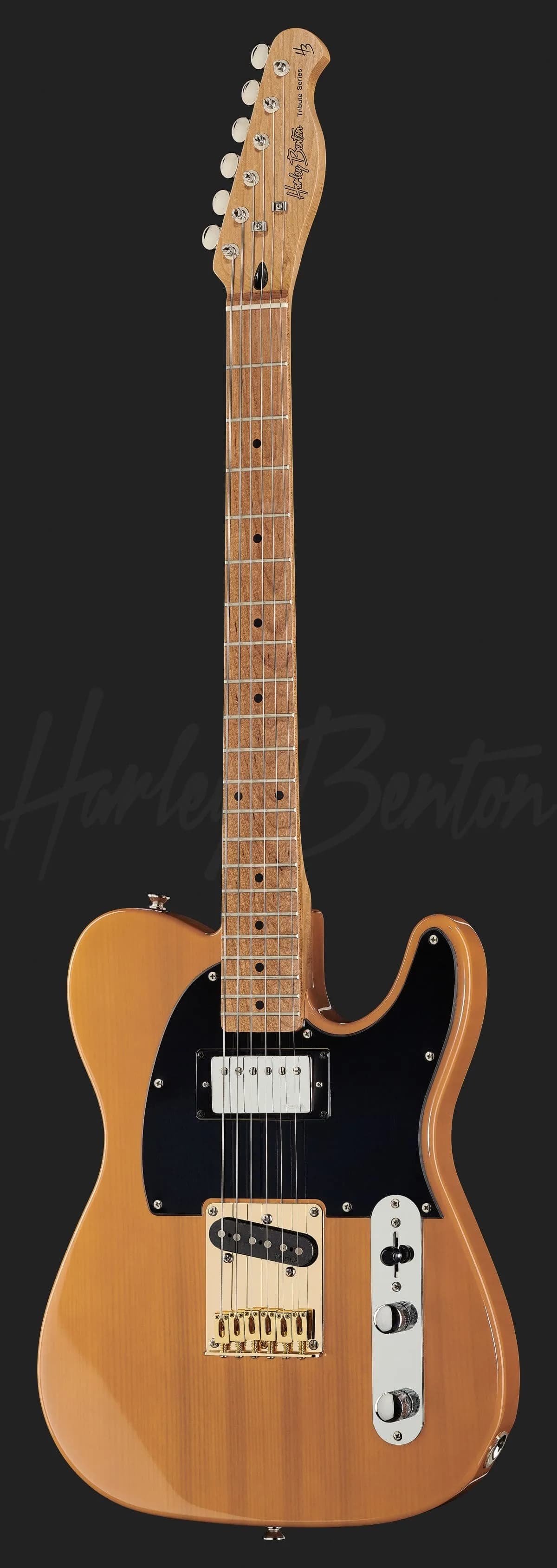 Harley Benton TE-53KR BL — photo 2
