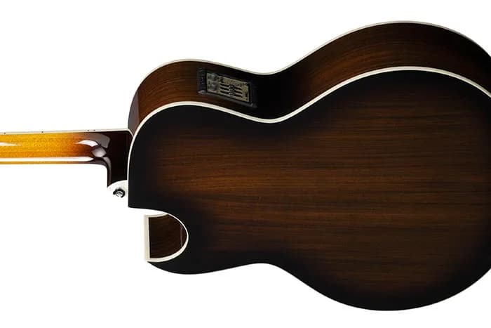 Ibanez JSA20 — photo 3