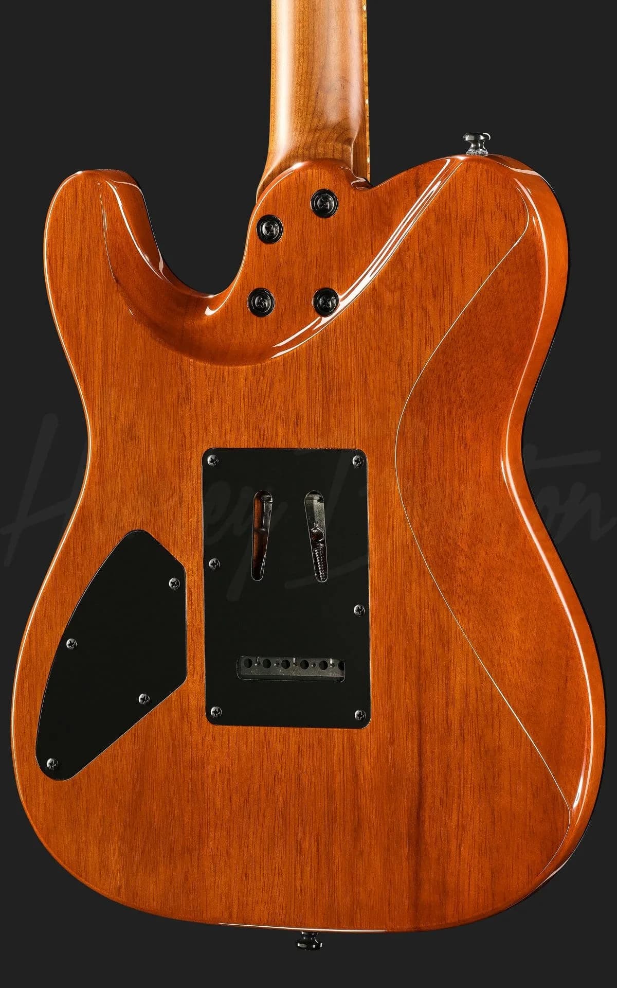 Harley Benton Fusion-T II HH MN WM — photo 5