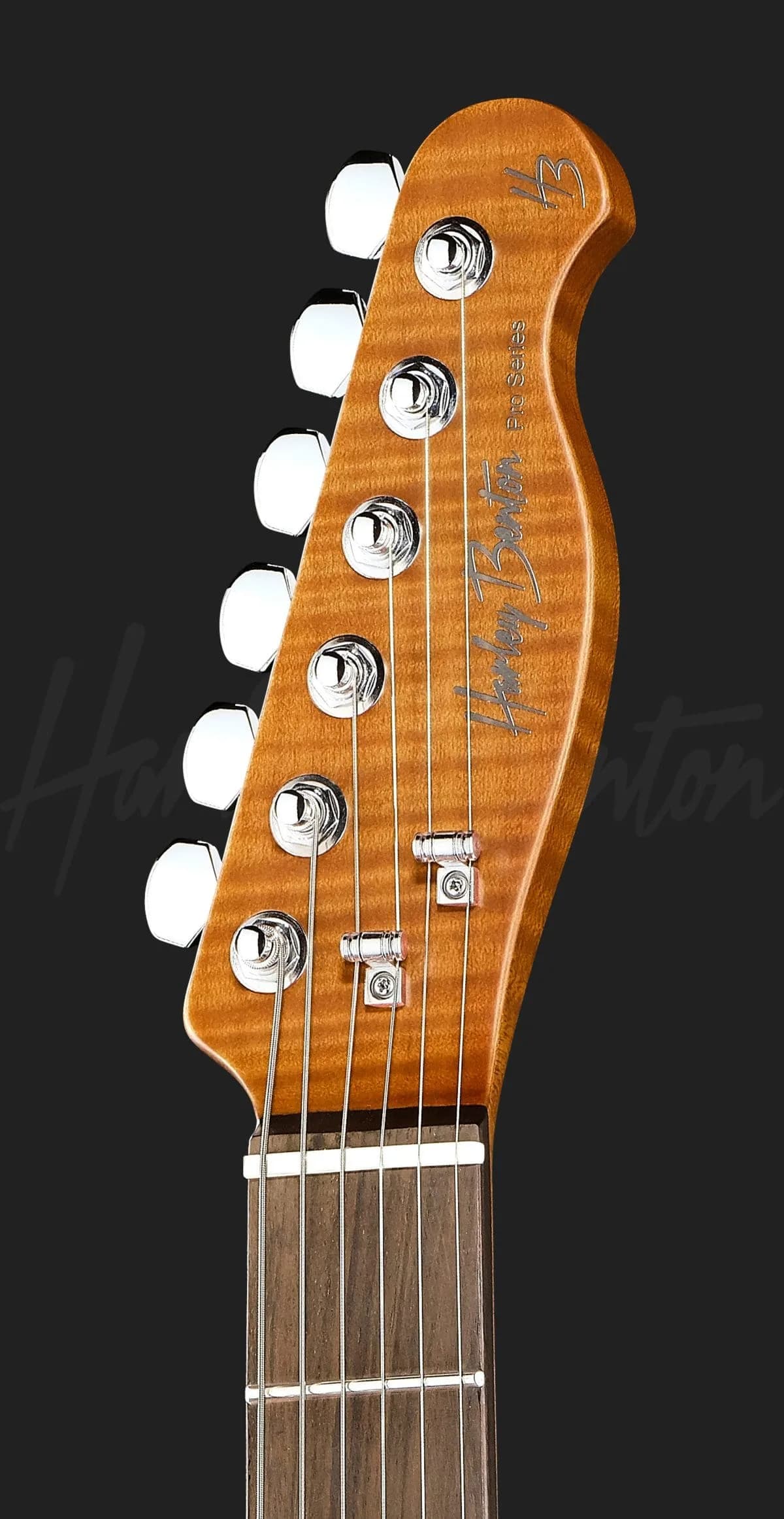 Harley Benton Fusion-T II HH RW OTC — photo 6