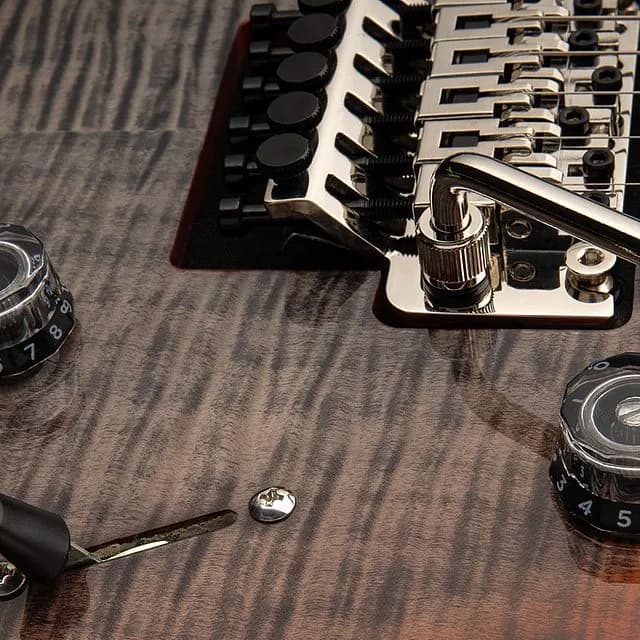 PRS SE Custom 24 "Floyd" — photo 5