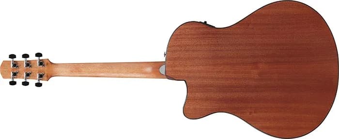 Ibanez AAM54CE — photo 5