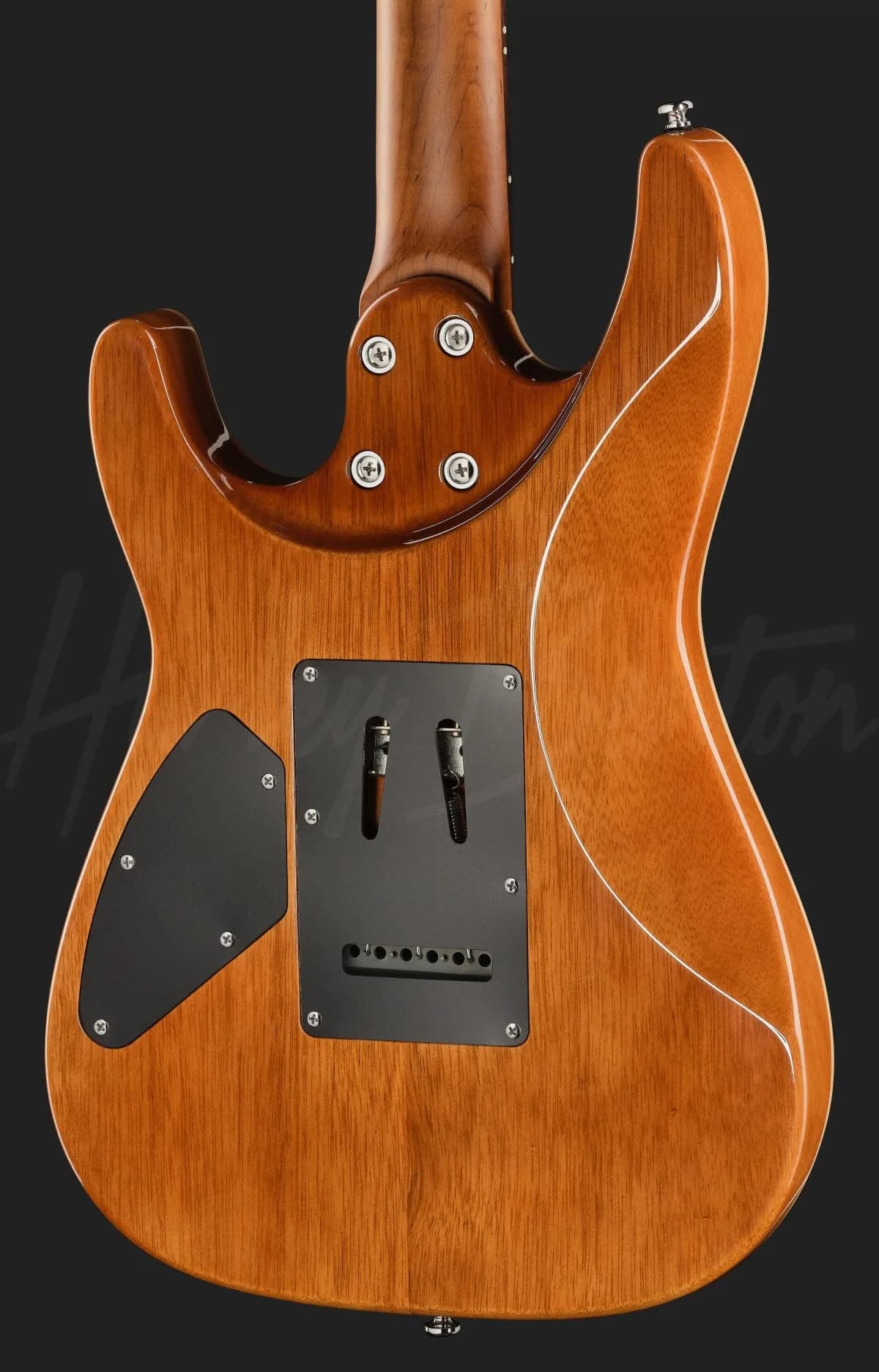Harley Benton Fusion-IV HSH RW QRG — photo 5