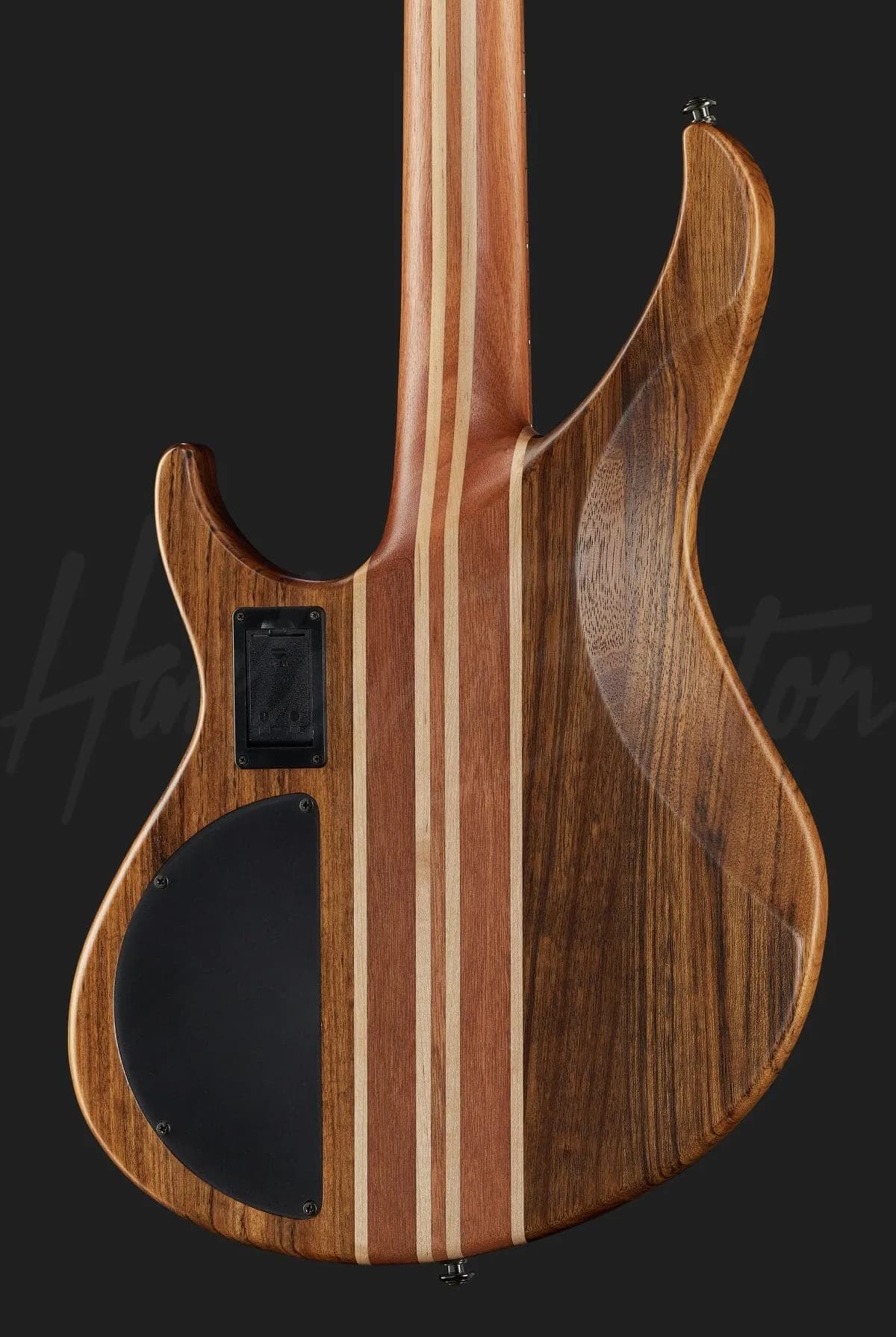 Harley Benton HBZ-2004 — photo 5