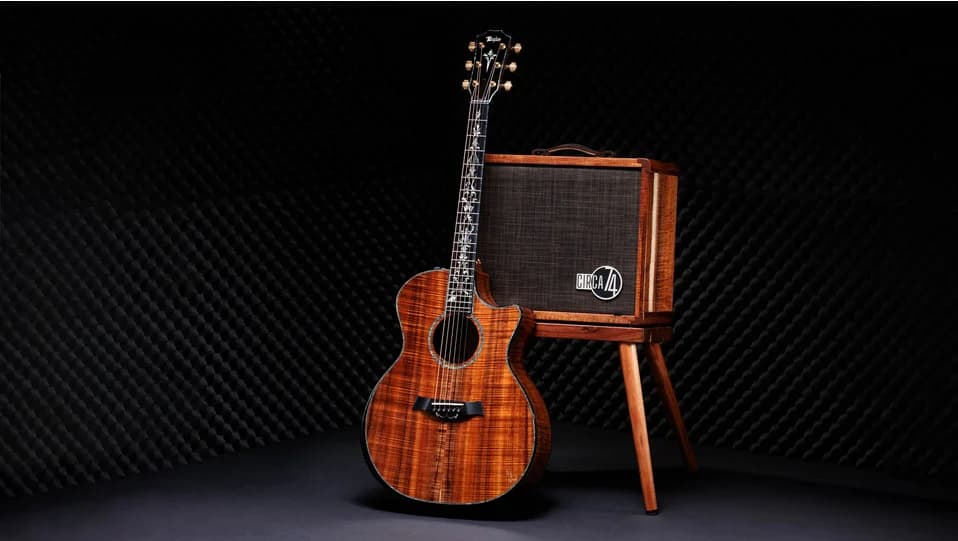 Taylor 50th Anniversary PS24ce LTD &amp; Circa 74 Amp — photo 4