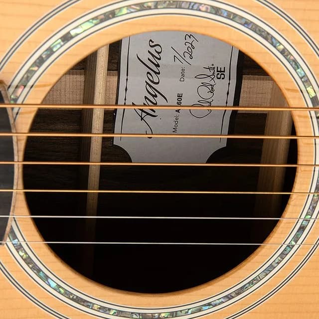 PRS SE A60E "Lefty" — photo 5