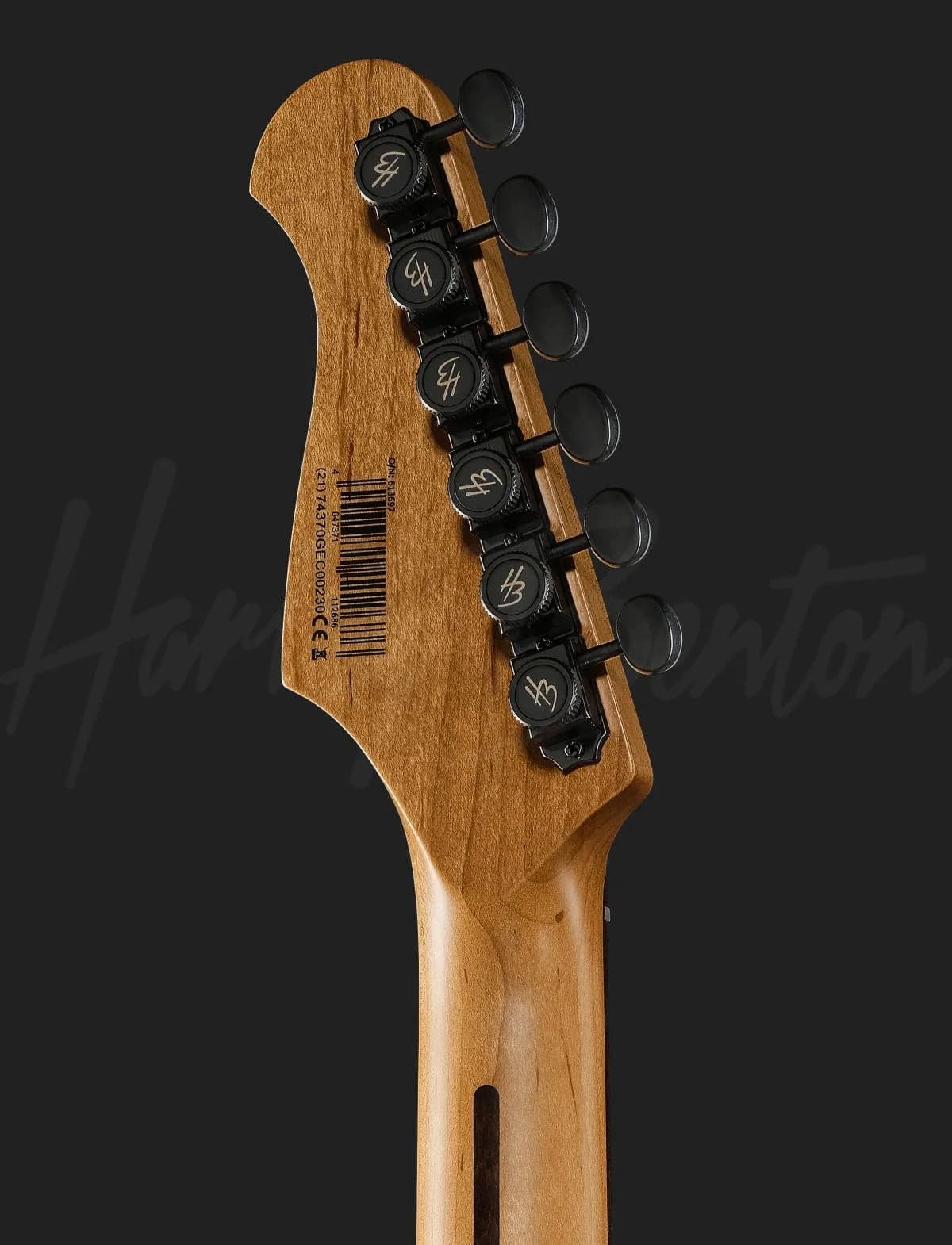 Harley Benton ST-Modern HH TM — photo 7