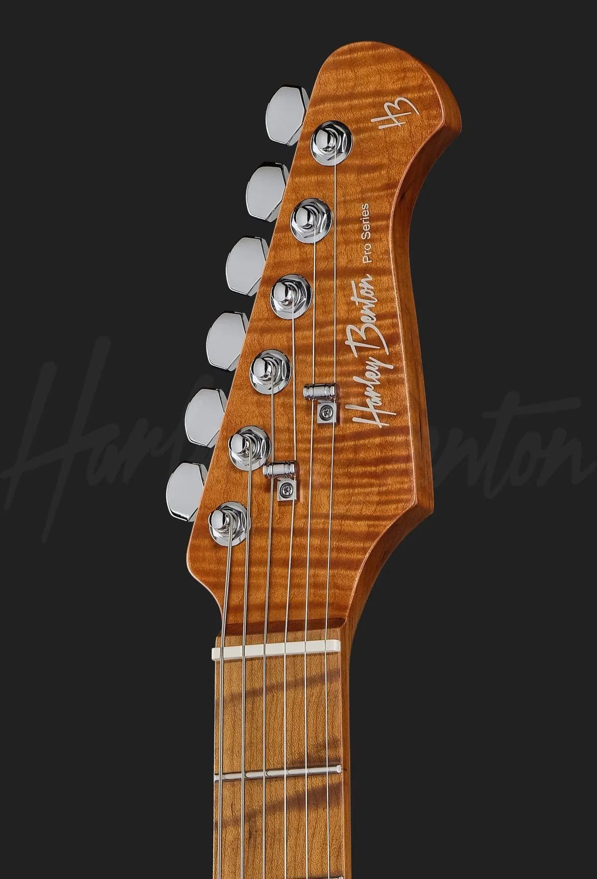 Harley Benton Fusion-IV HH MN RM — photo 6