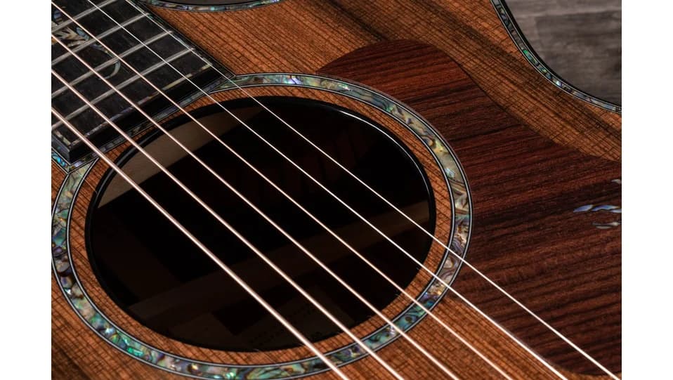 Taylor PS12ce Honduran Rosewood — photo 8