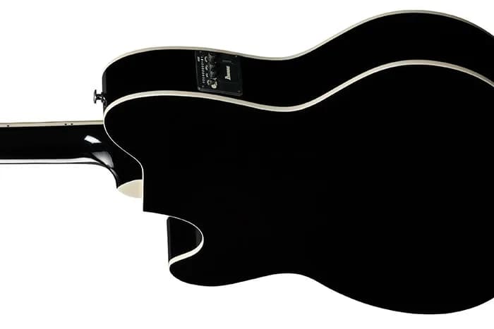 Ibanez TCY10E — photo 3