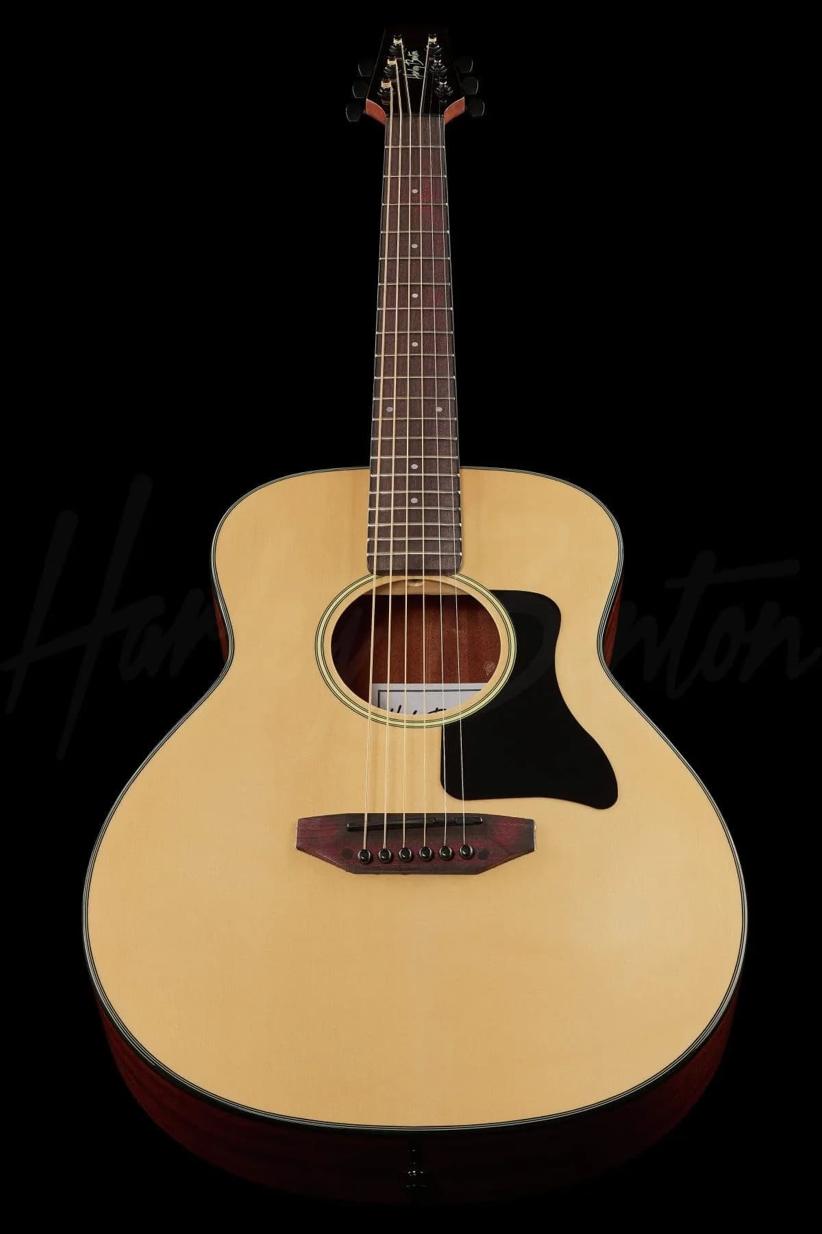 Harley Benton GS-Travel Spruce — photo 8
