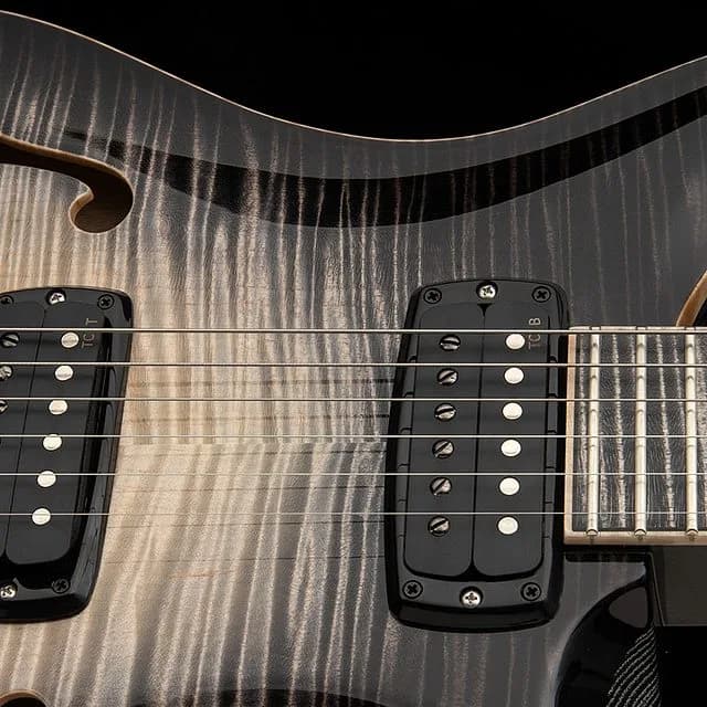PRS Private Stock 30th Anniversary "Birds of a Feather" Hollowbody I — photo 3