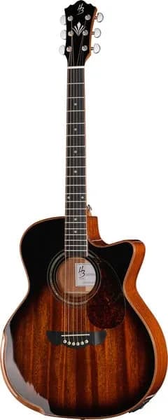 Harley Benton CLG-650SM-CE VS SolidWood