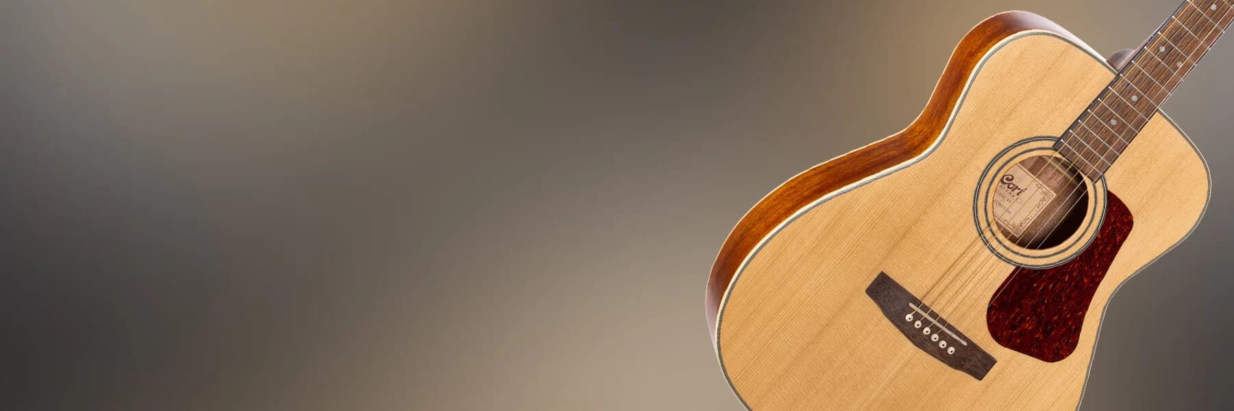 Cort L100C