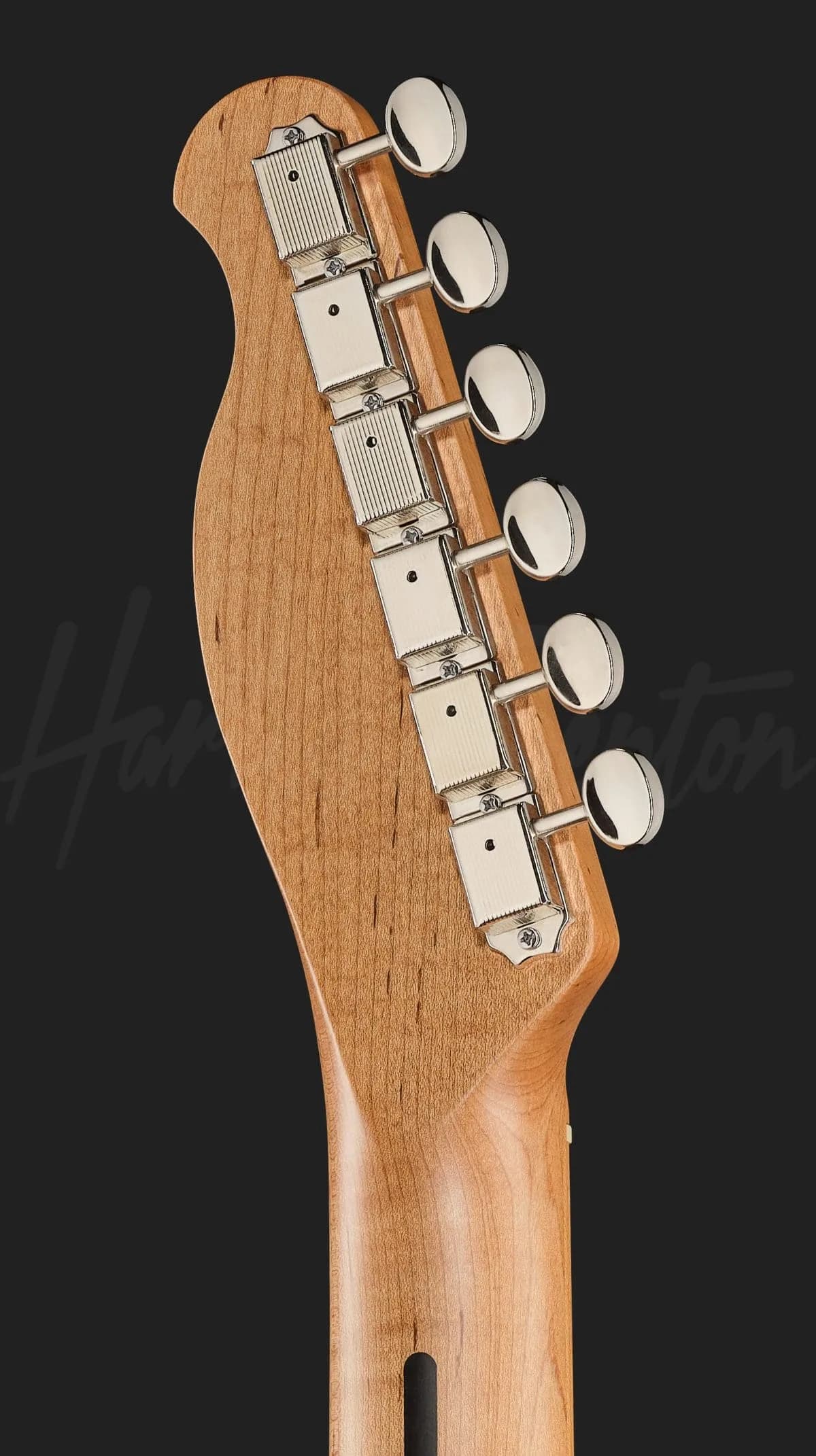 Harley Benton TE-52 Tremolo NA — photo 7